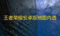 王者荣耀安卓版地图内透技能减CD辅助